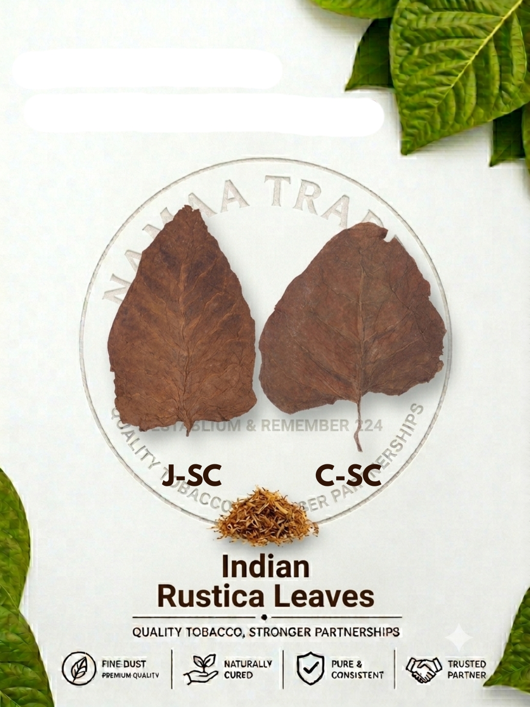 Indian Rustica Leaves J-SC and C-SC